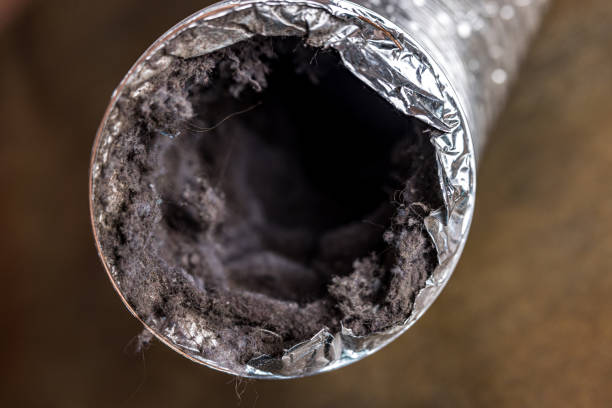 Best Affordable Air Duct Cleaning  in Banks Springs, LA